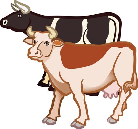 Free Clipart Of A Pair of Cows