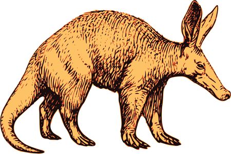 Free Clipart Of A Profiled Aardvark Wildlife