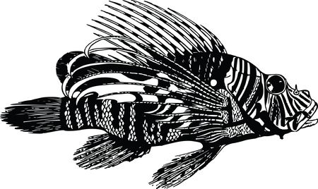 Free Clipart Of A Lionfish