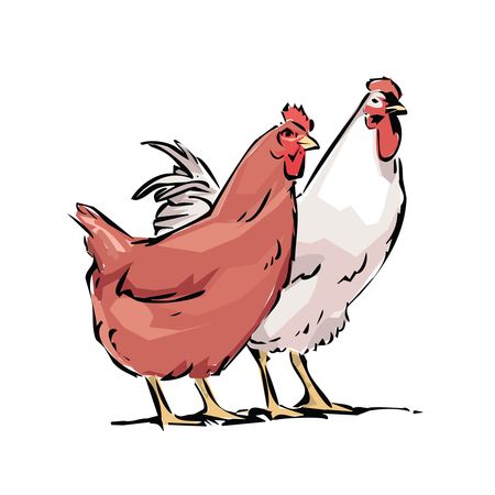 Free Clipart Of A chicken hen and rooster