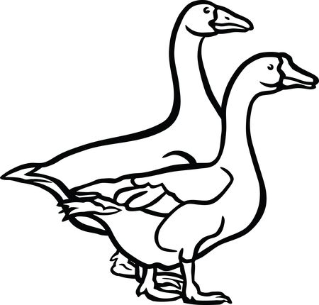 Free Clipart Of A black and white Pair of Geese
