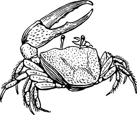 Free Clipart Of A Crab