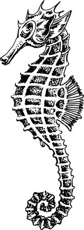 Free Clipart Of A Seahorse