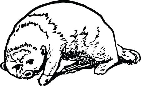 Free Clipart Of An otter