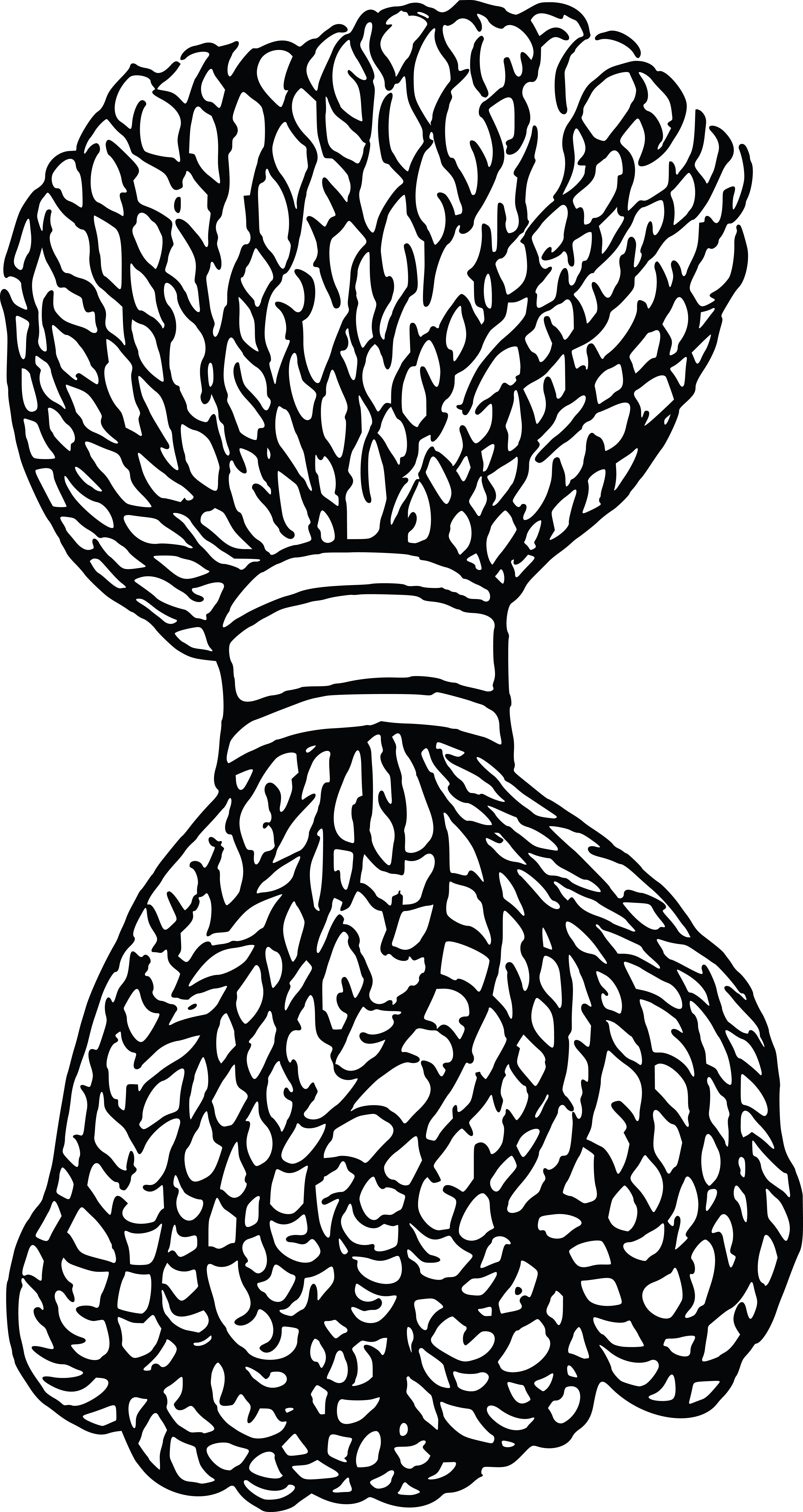 Free Clipart of a Black and White Bundle of Rope