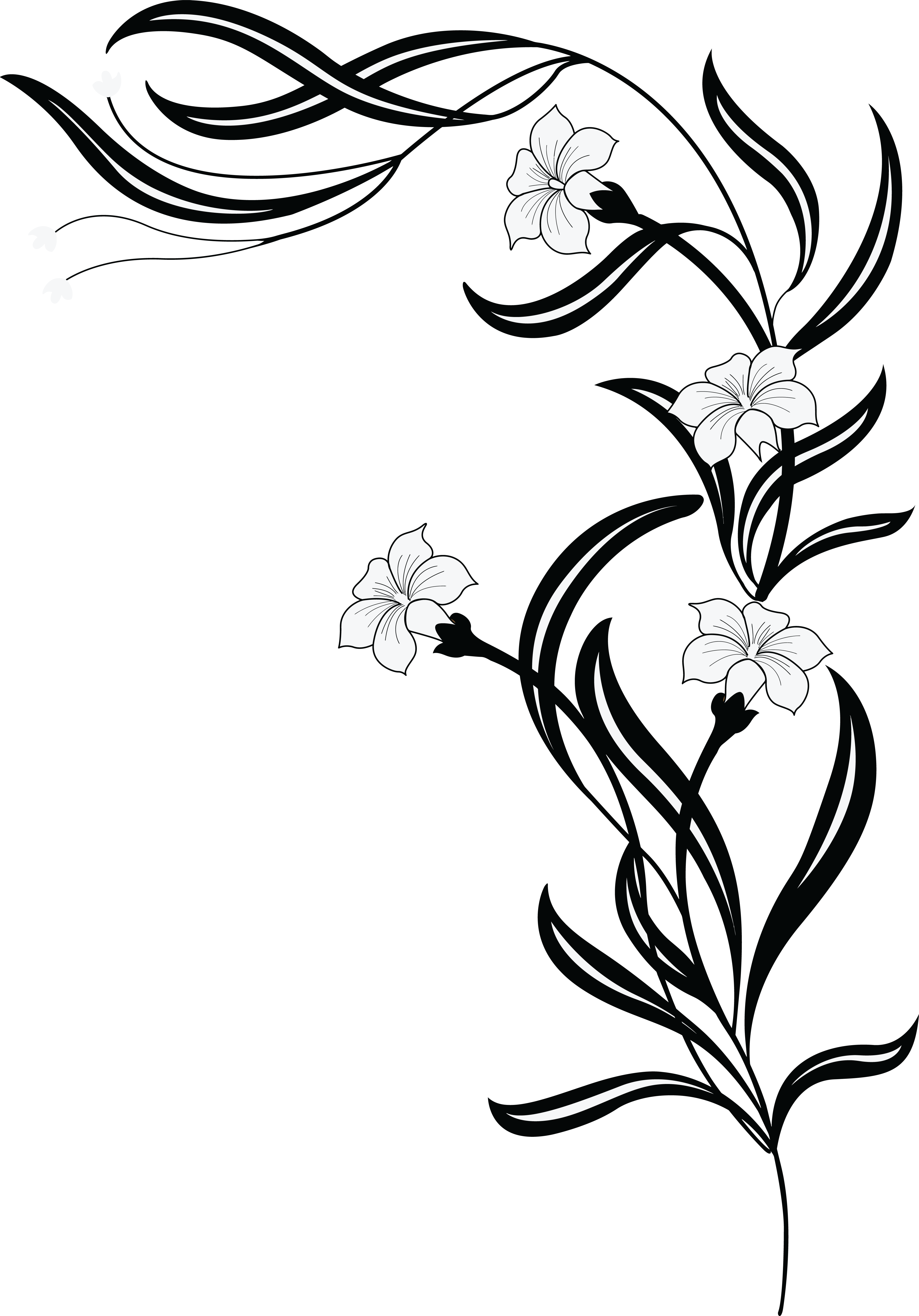 Free Clipart Of A grayscale floral vine