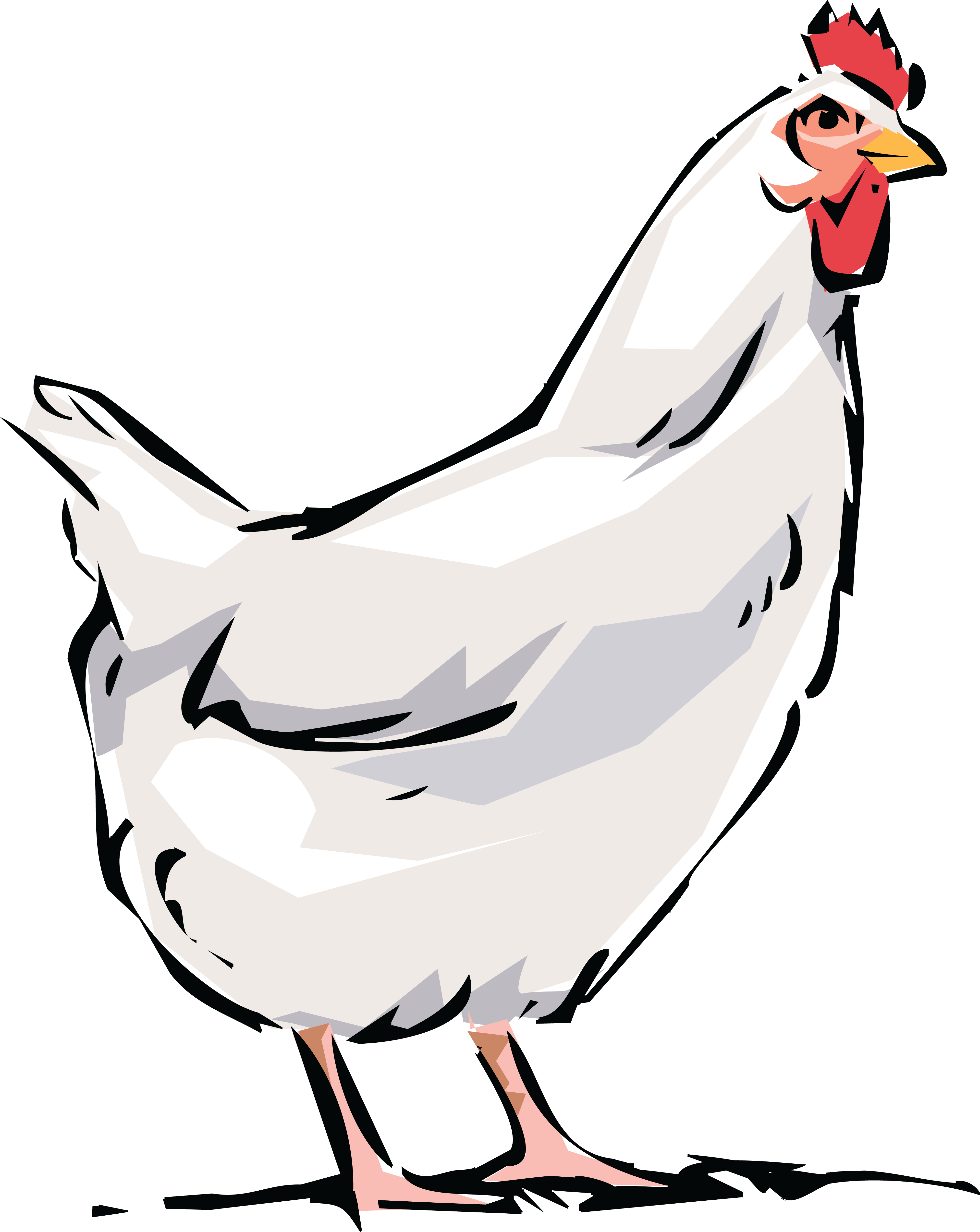Free Clipart Of White Hen