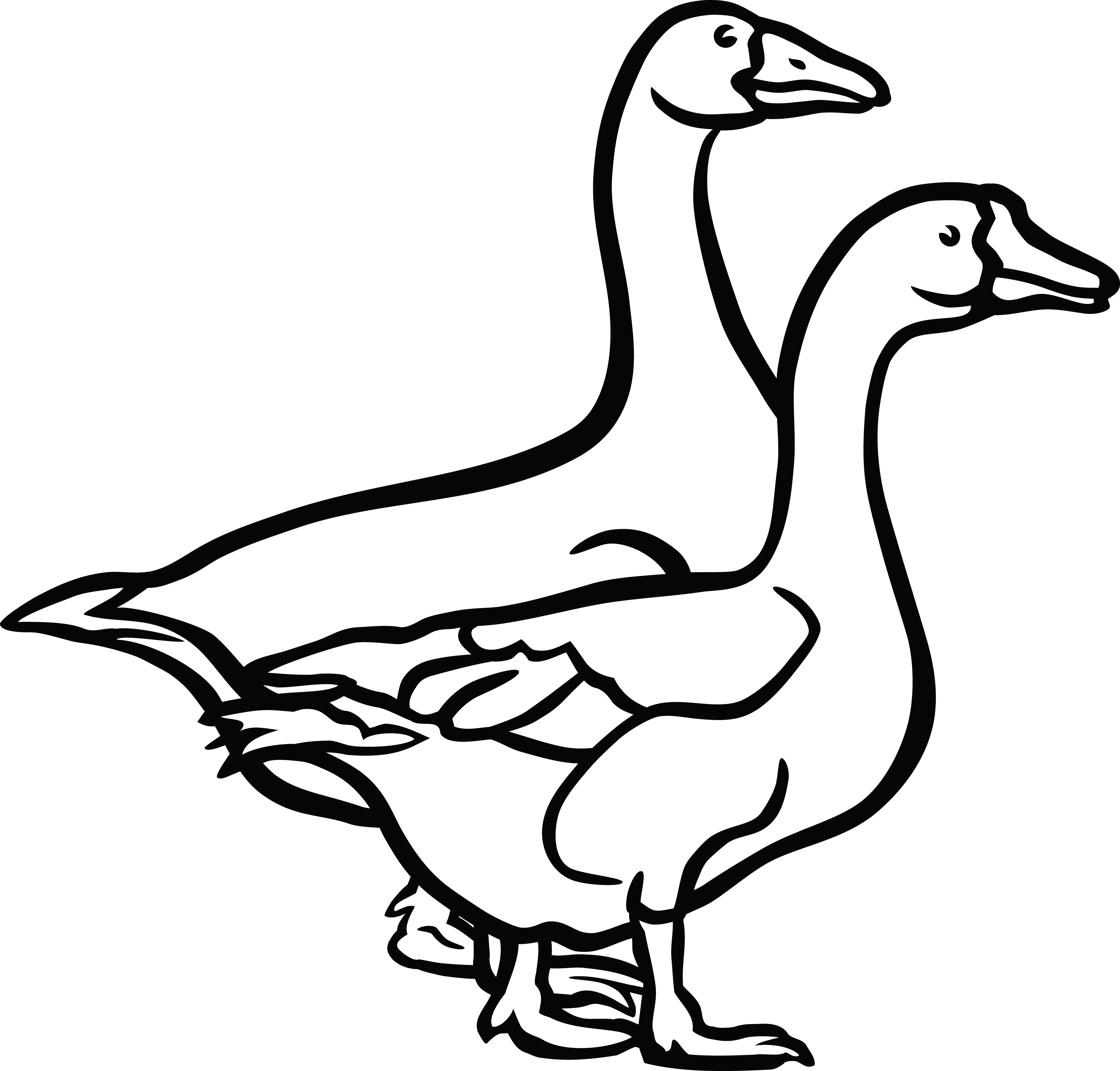 goose clipart black and white - photo #7