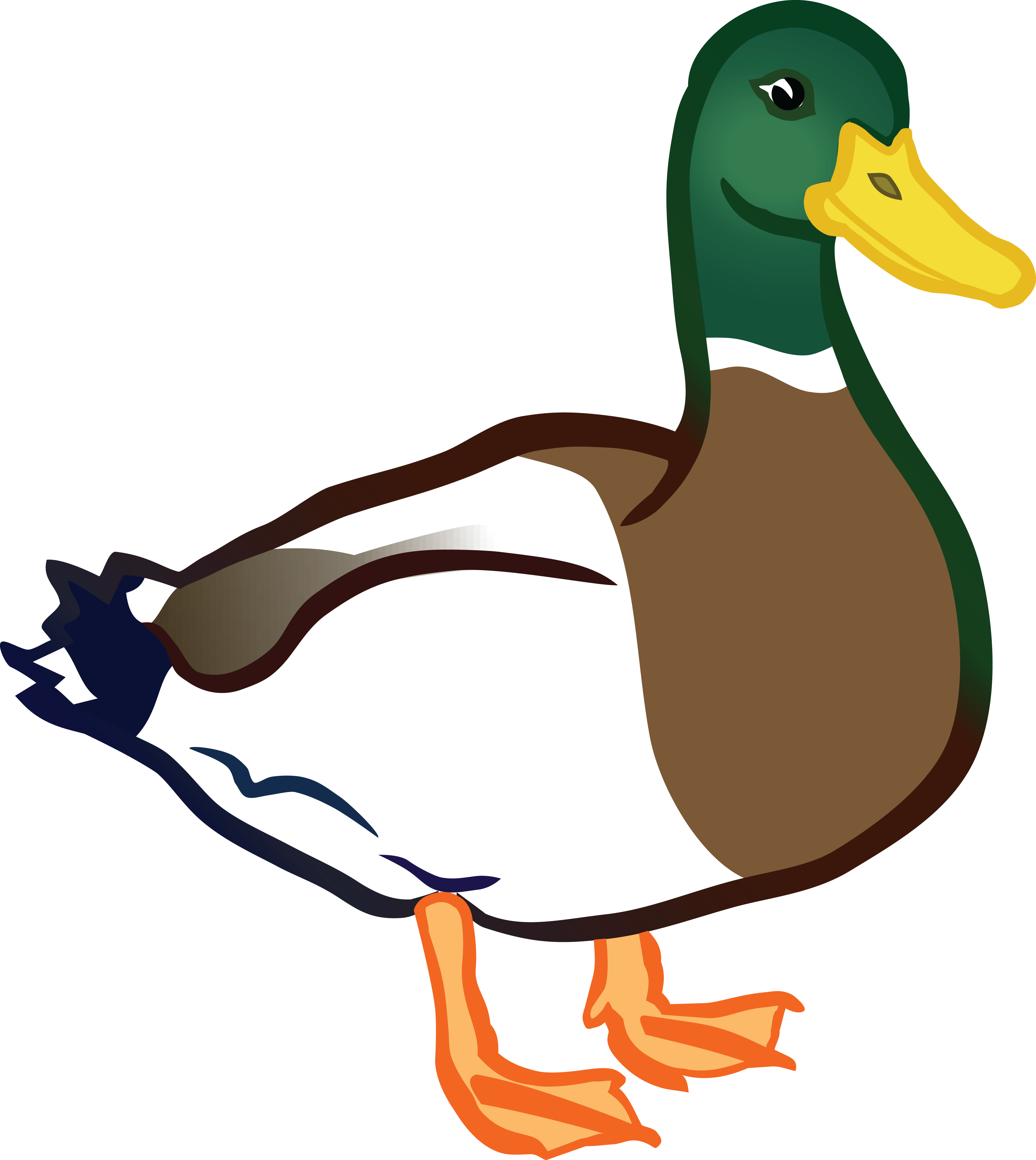 clipart flying duck - photo #37
