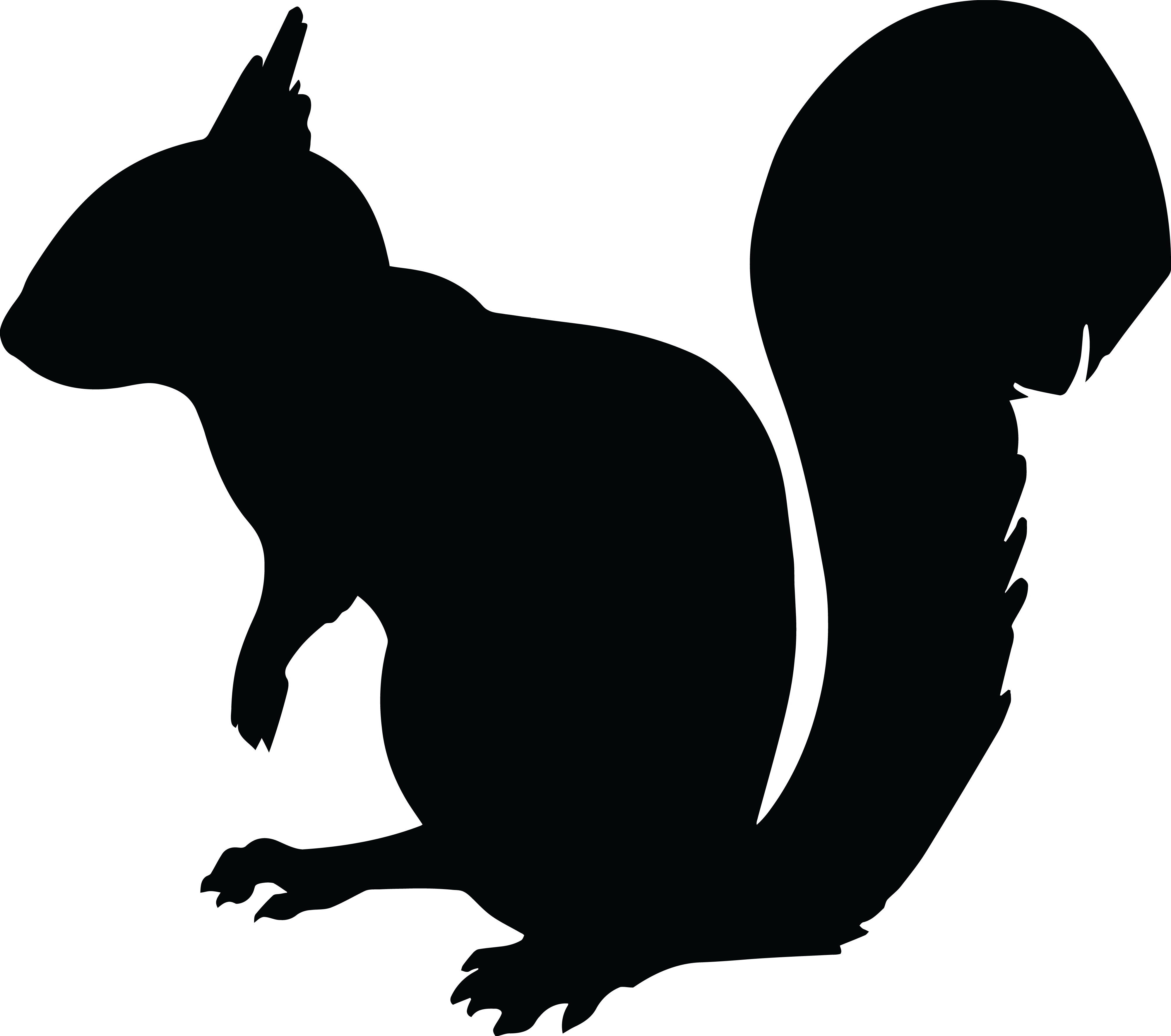 Download Free Clipart Of A Squirrel Silhouette