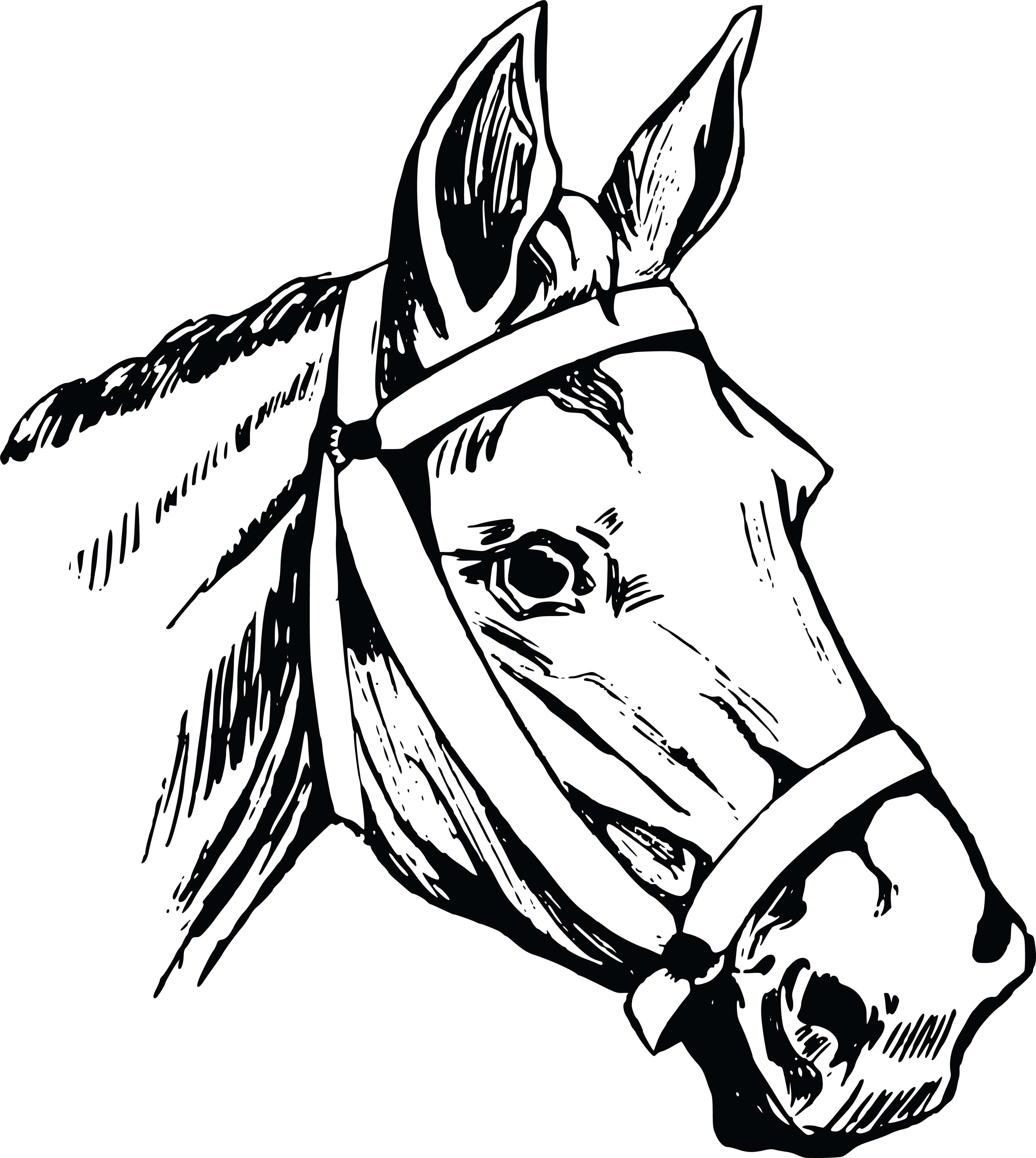 Printable Horse Head Clip Art