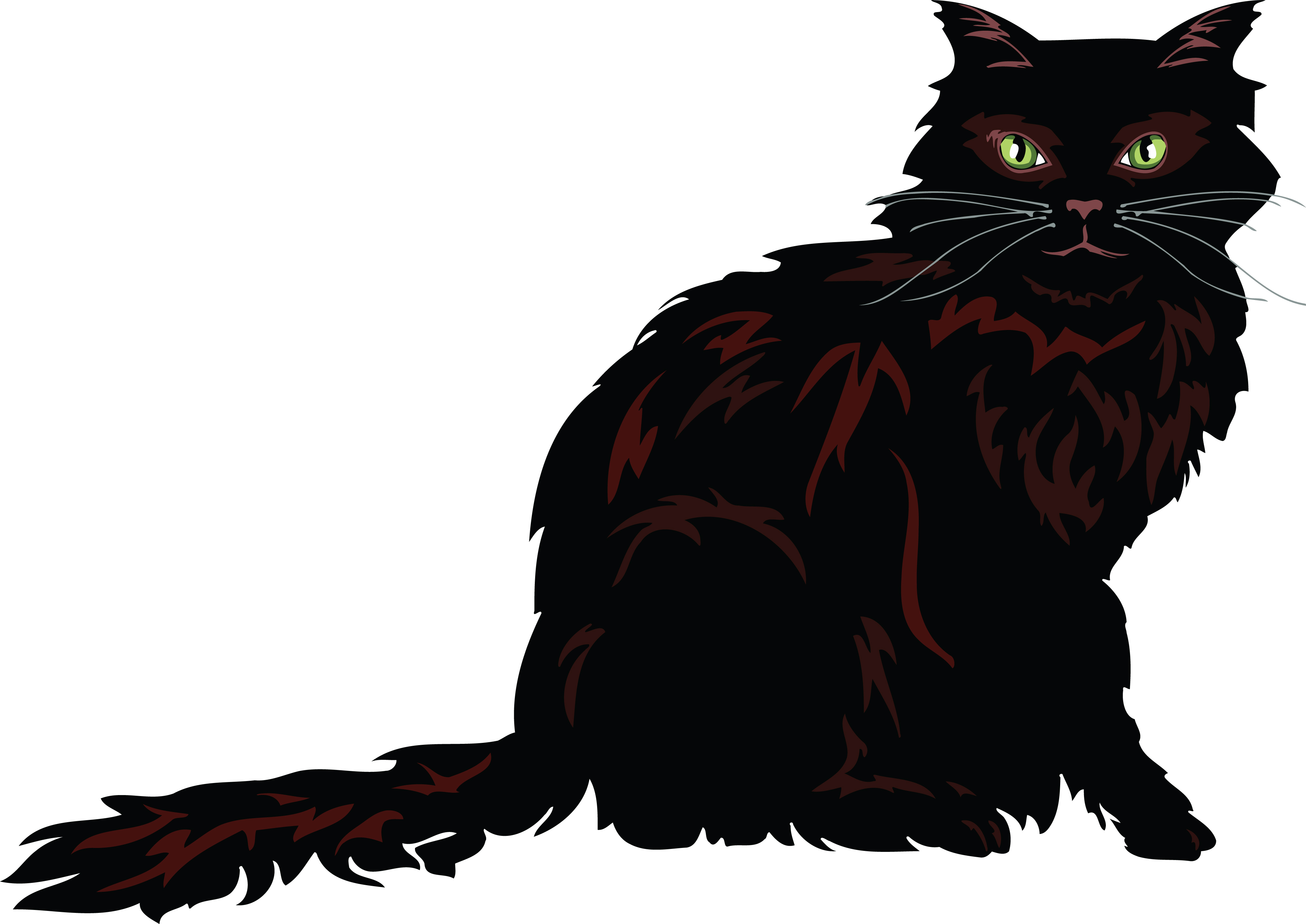 Черный кот из сказки