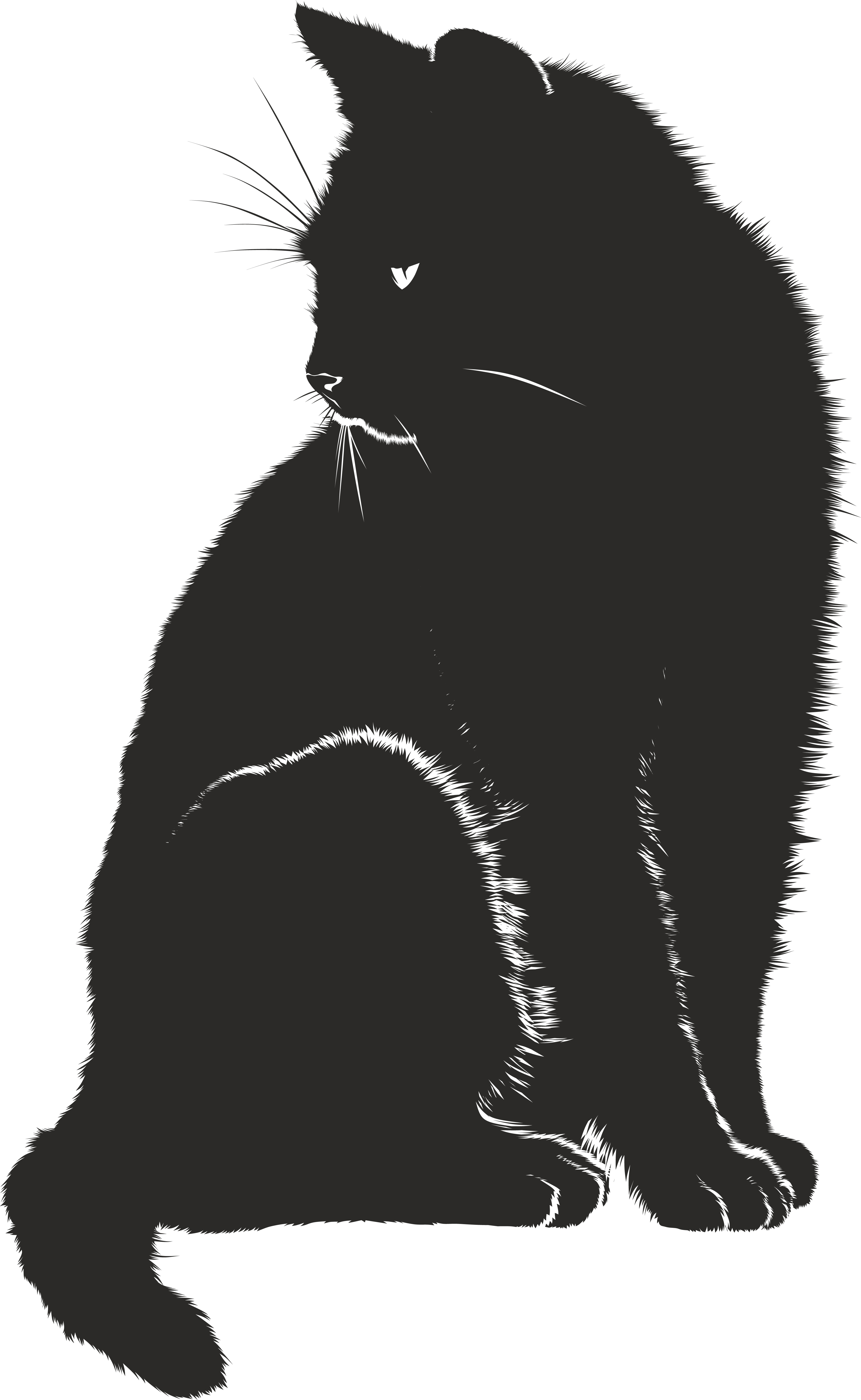 Free Clipart Of A Black and White Sitting Cat