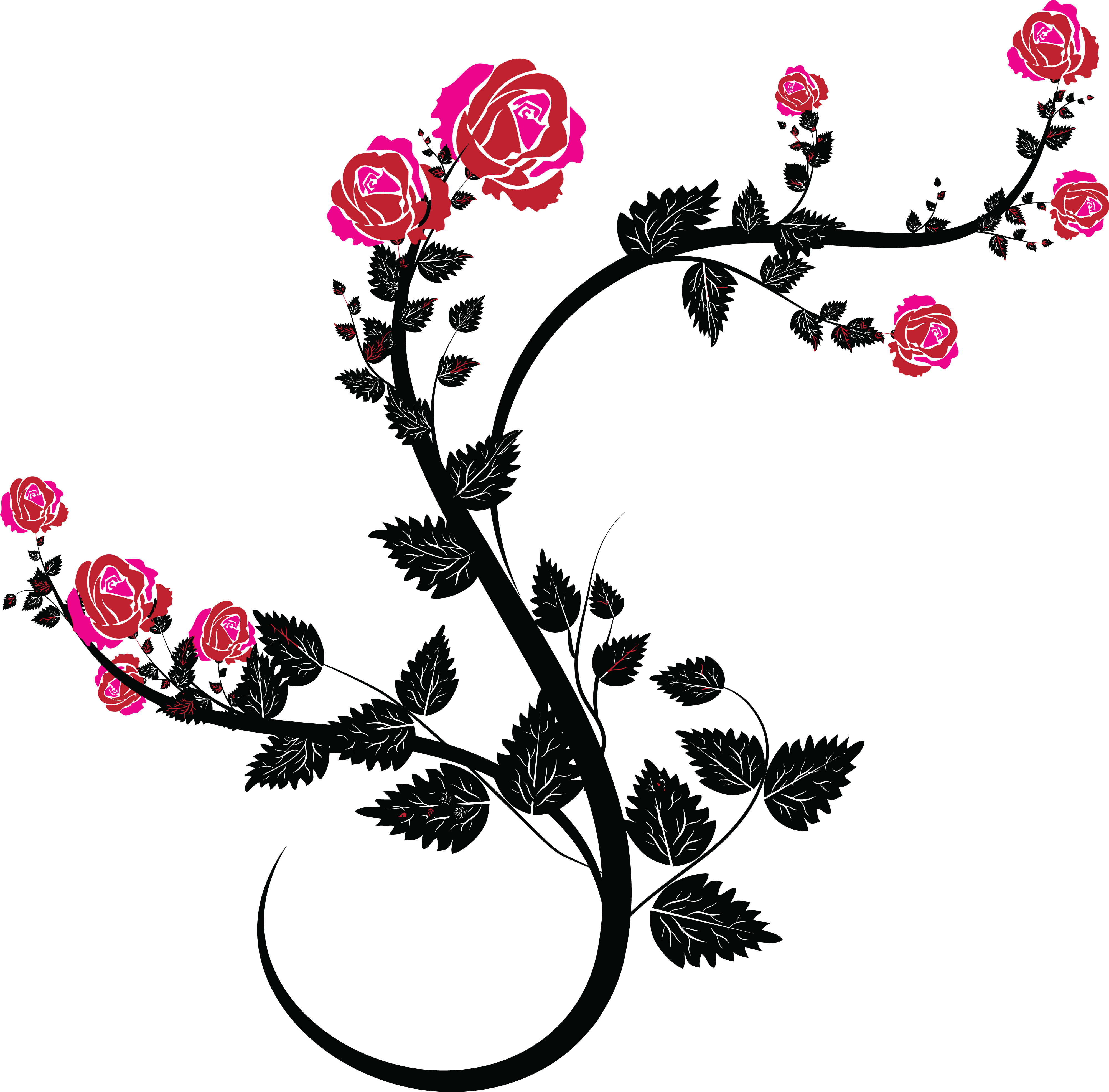 Free Clipart Of A Black and Pink Rose Design Gumamela Clipart.