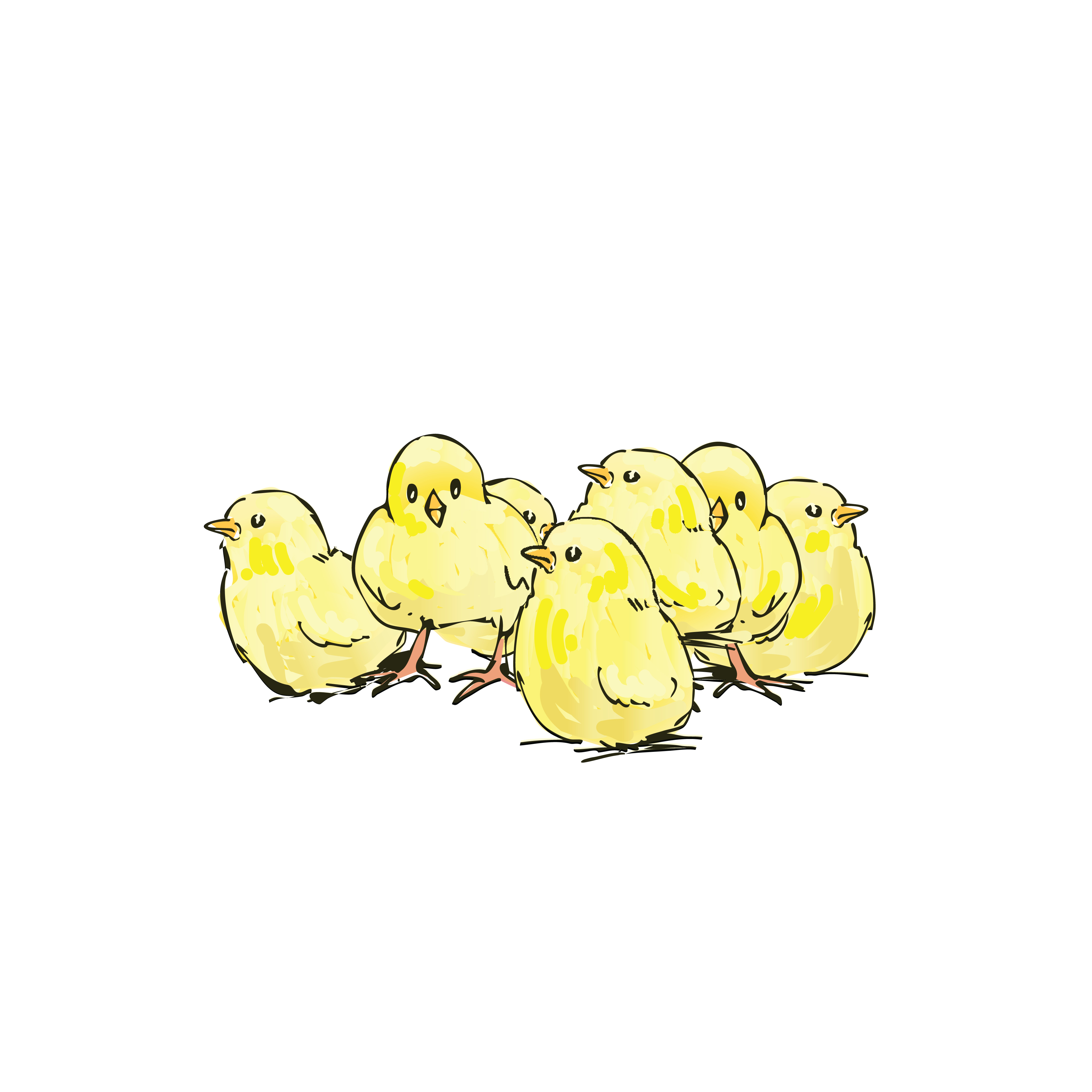 clipart yellow chick - photo #32